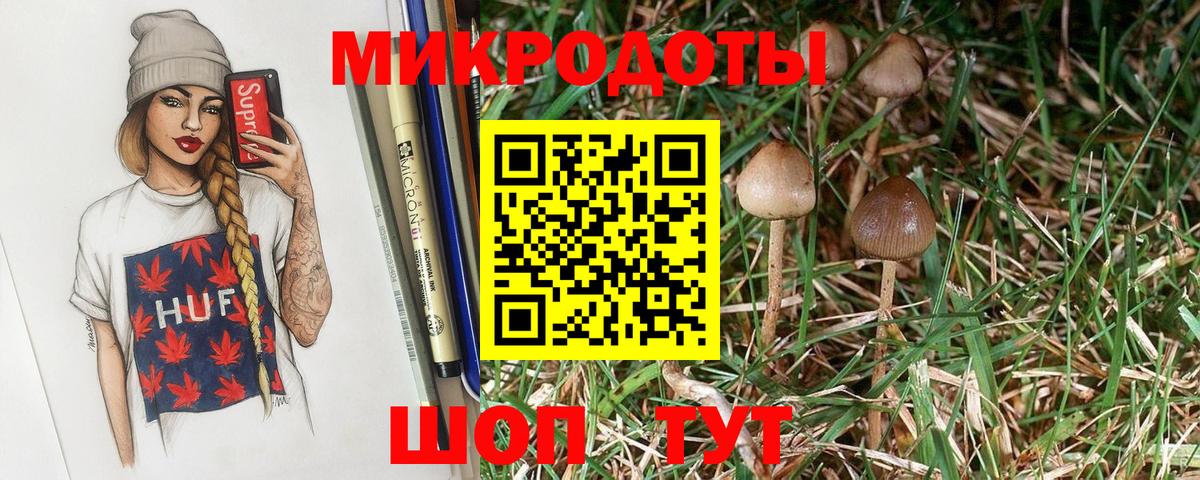 Галлюциногенные грибы мухоморы Краснодар